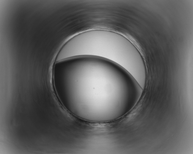 X0000089360862200706150822