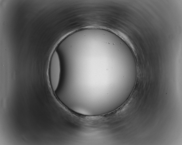 X0000089360863200706150822