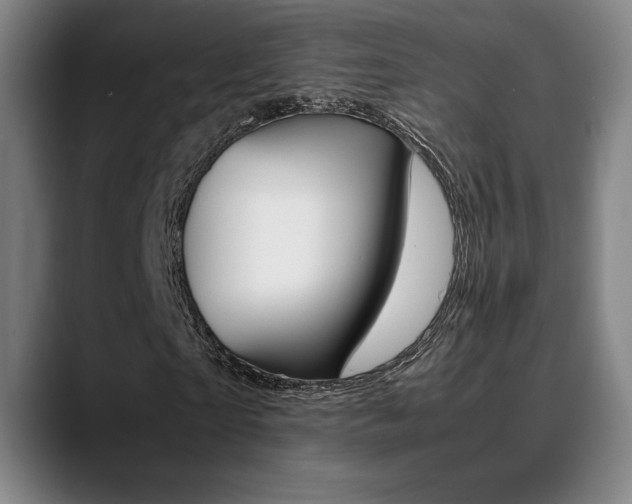 X0000089360865200706150821