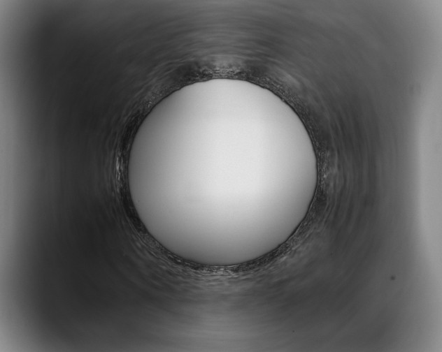 X0000089360866200706150821
