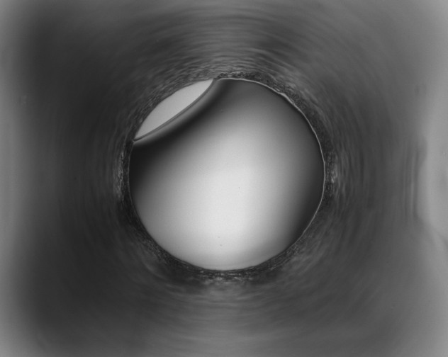 X0000089360868200706150821