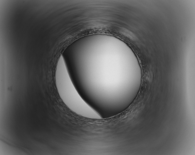 X0000089360869200706150821