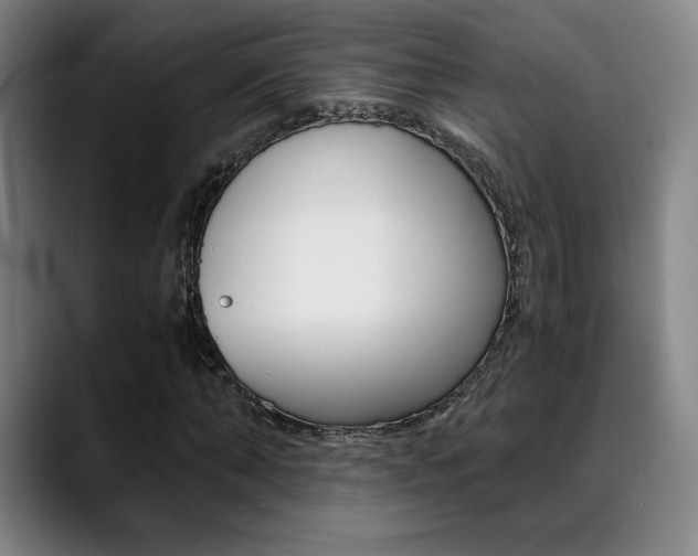 X0000089360870200706150821
