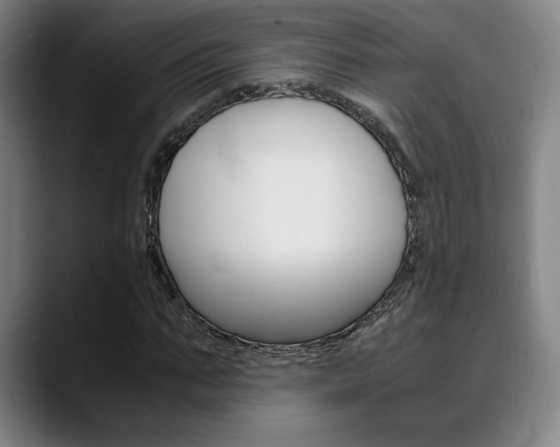 X0000089360871200706150821