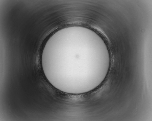 X0000089360874200706150821