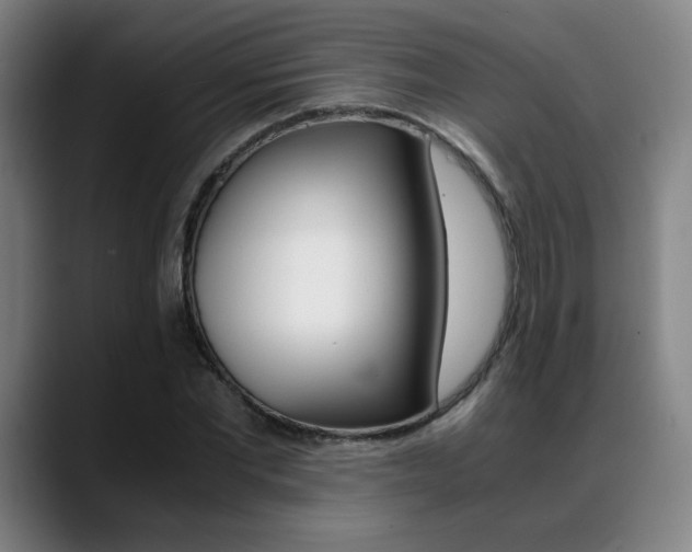 X0000089360877200706150821