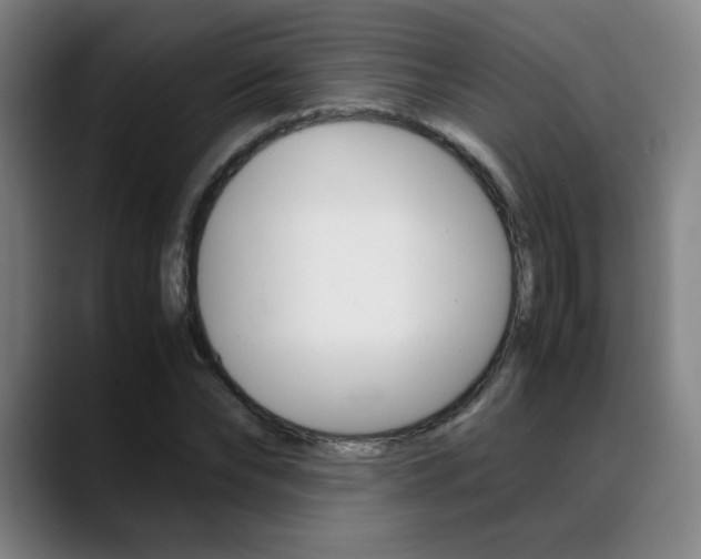 X0000089360878200706150821