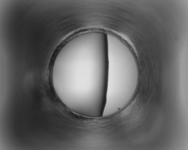 X0000089360879200706150821