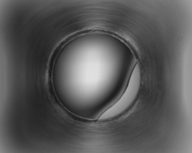 X0000089360880200706150821