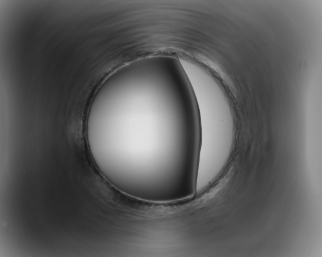X0000089360881200706150821