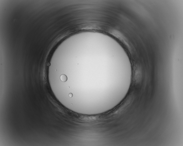 X0000089360882200706150821