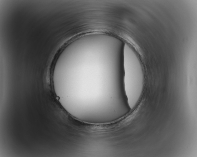 X0000089360883200706150821