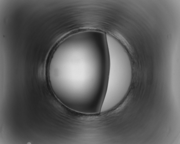 X0000089360884200706150821