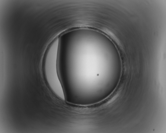 X0000089360885200706150821