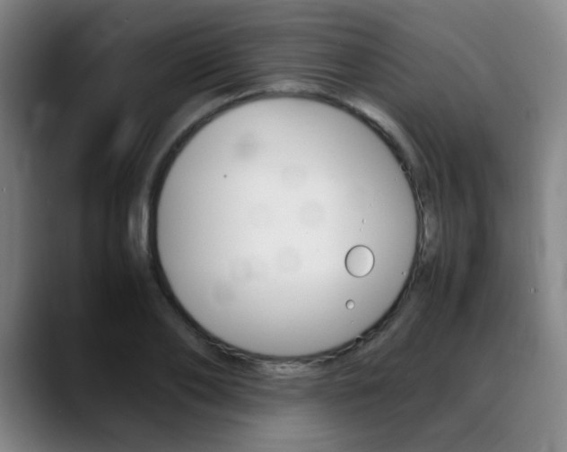 X0000089360886200706150821