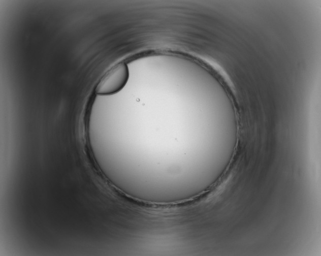 X0000089360887200706150821