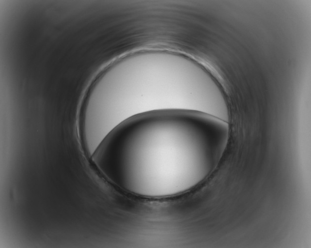 X0000089360888200706150821