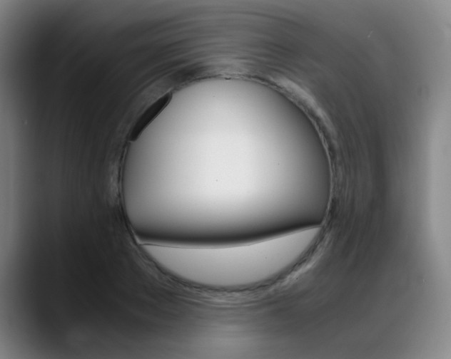 X0000089360889200706150821