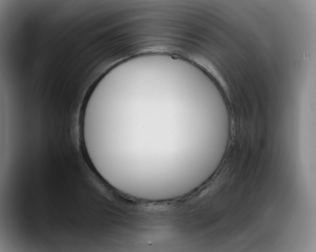 X0000089360890200706150821