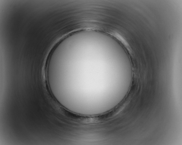 X0000089360891200706150821