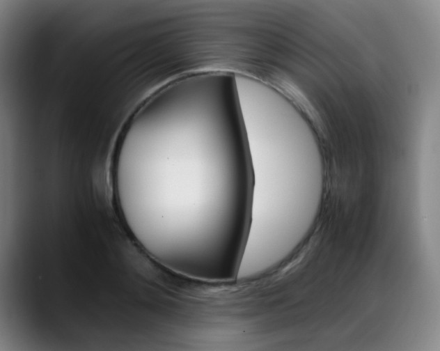X0000089360892200706150821