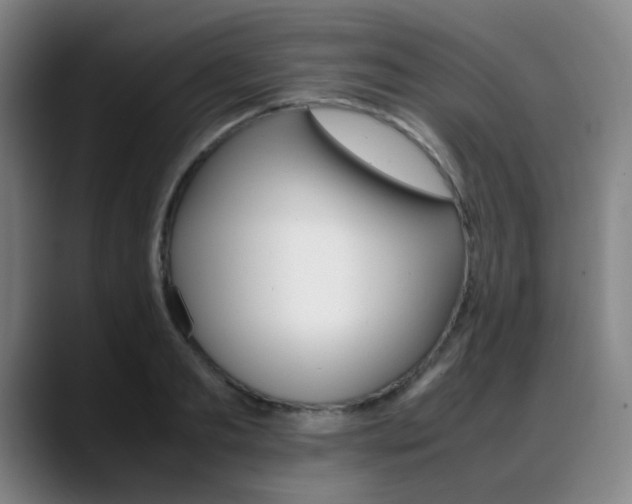 X0000089360893200706150821