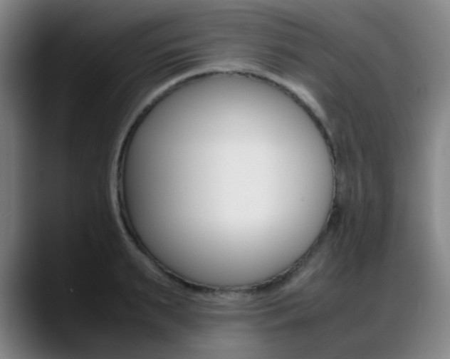 X0000089360895200706150821
