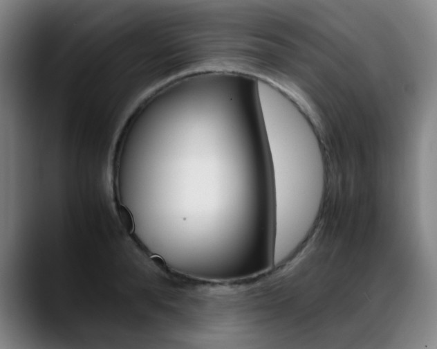 X0000089360896200706150821