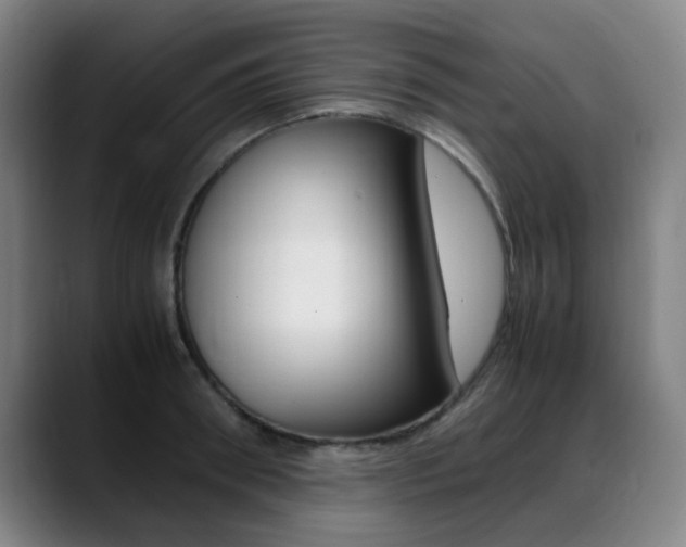 X0000089360898200706150821