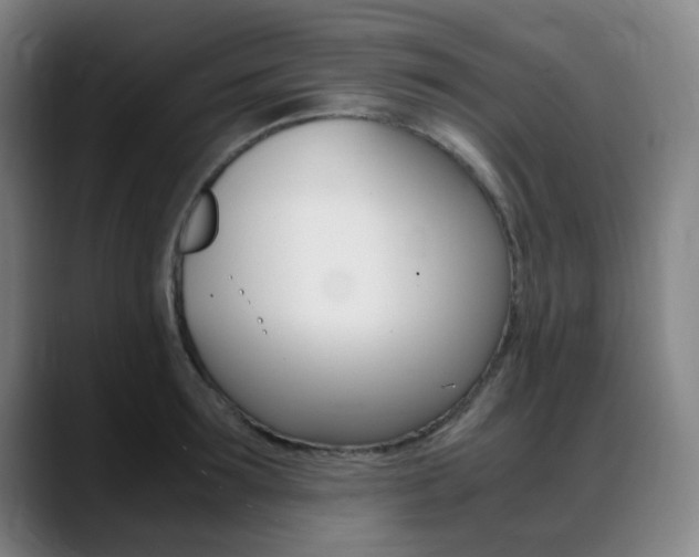X0000089360899200706150821