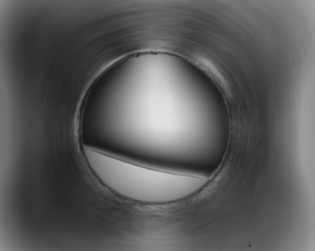 X0000089360900200706150821