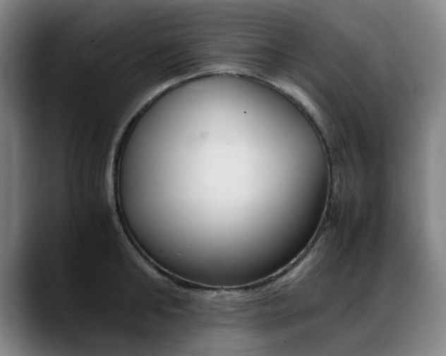 X0000089360902200706150821