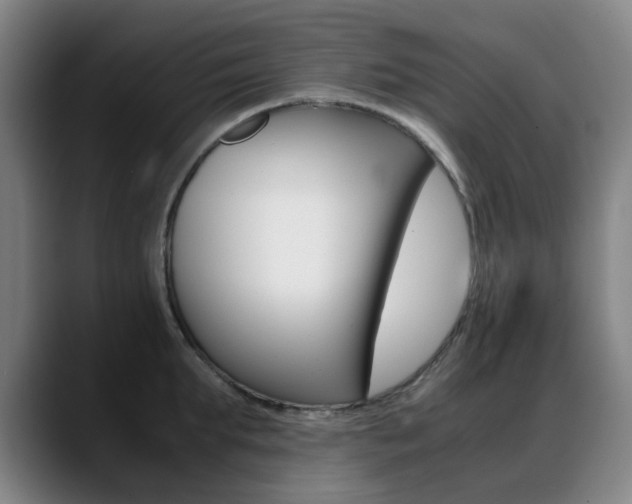 X0000089360903200706150821