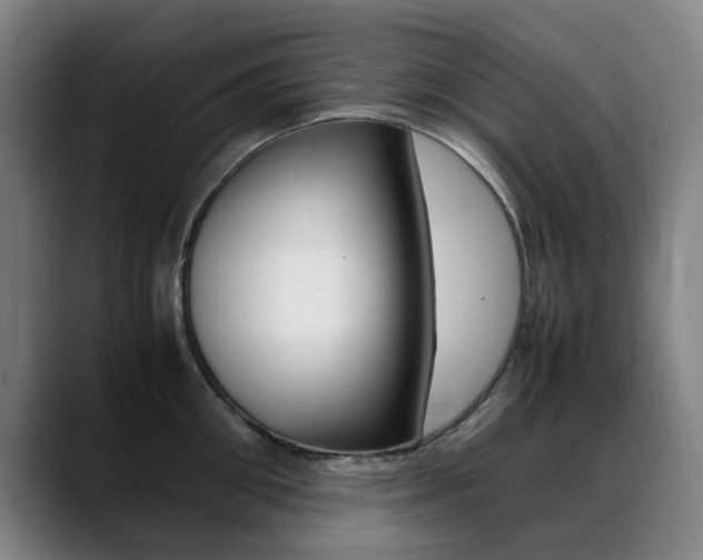X0000089360906200706150821
