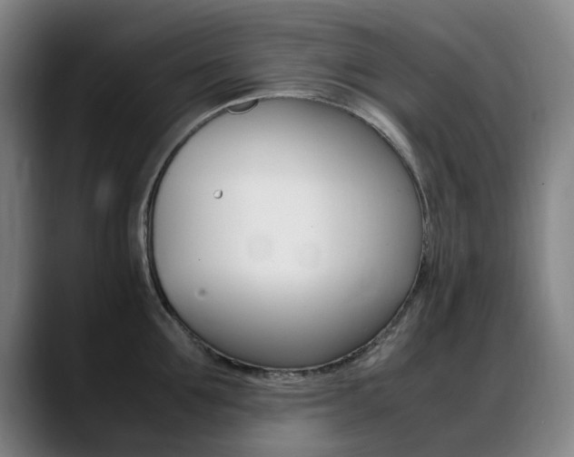 X0000089360907200706150821