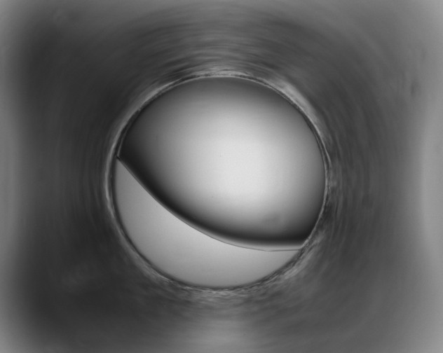 X0000089360909200706150821