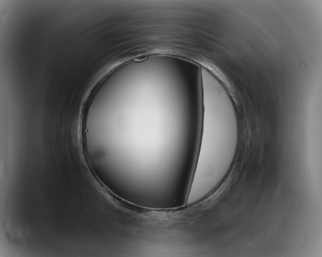 X0000089360910200706150821