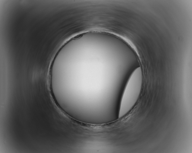 X0000089360911200706150820
