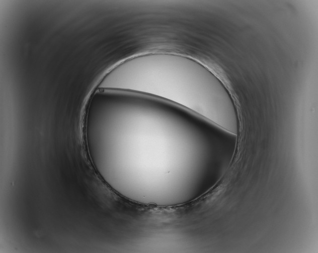 X0000089360912200706150820