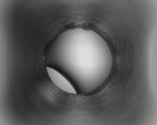 X0000089360914200706150820
