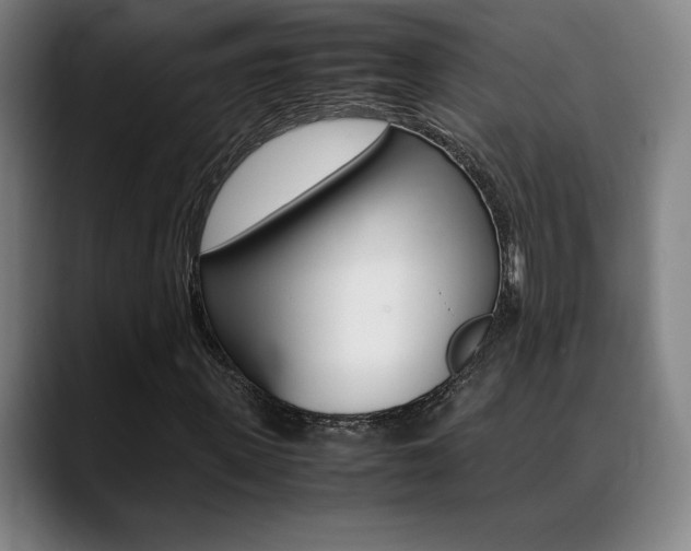 X0000089360915200706150820