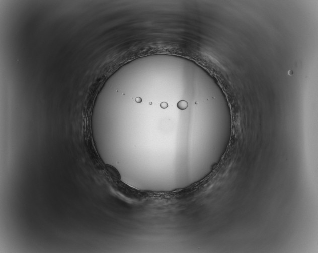 X0000089360917200706150820
