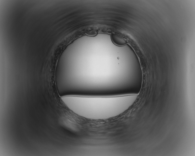 X0000089360919200706150820