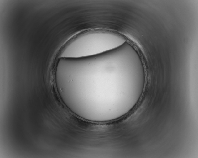 X0000089360925200706150820