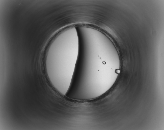 X0000089360926200706150820