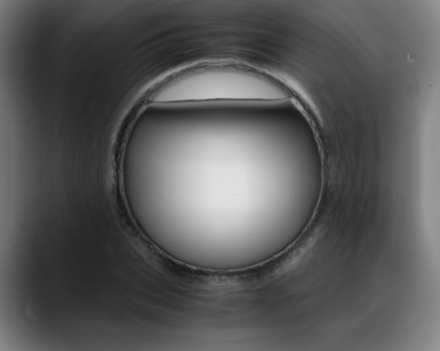 X0000089360927200706150820