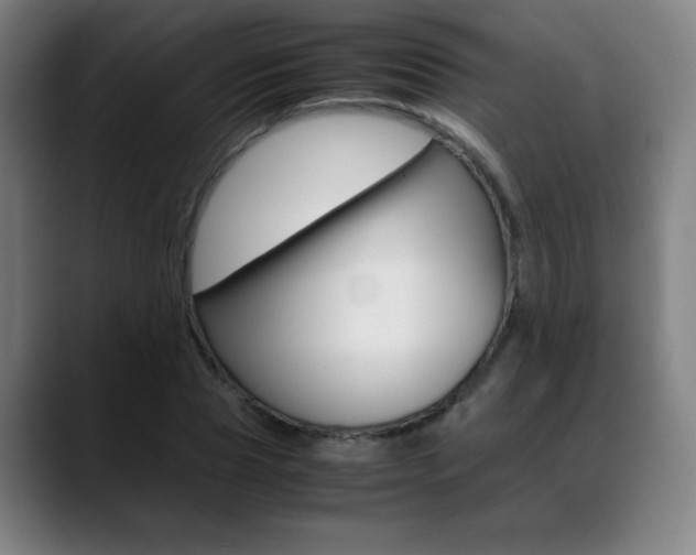 X0000089360929200706150820