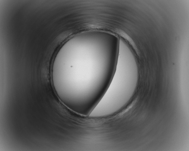 X0000089360930200706150820