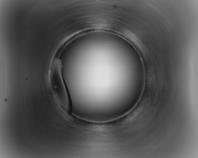 X0000089360932200706150820