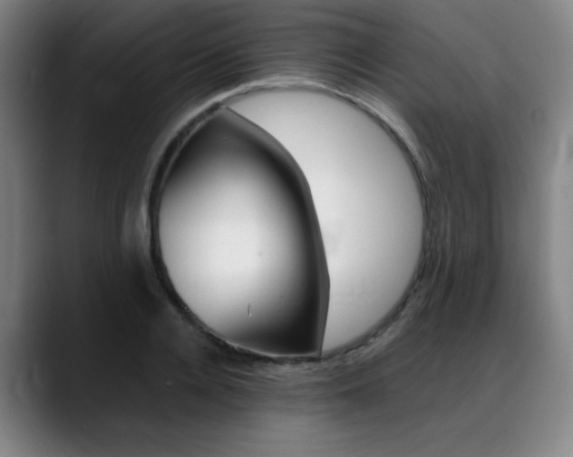 X0000089360936200706150820